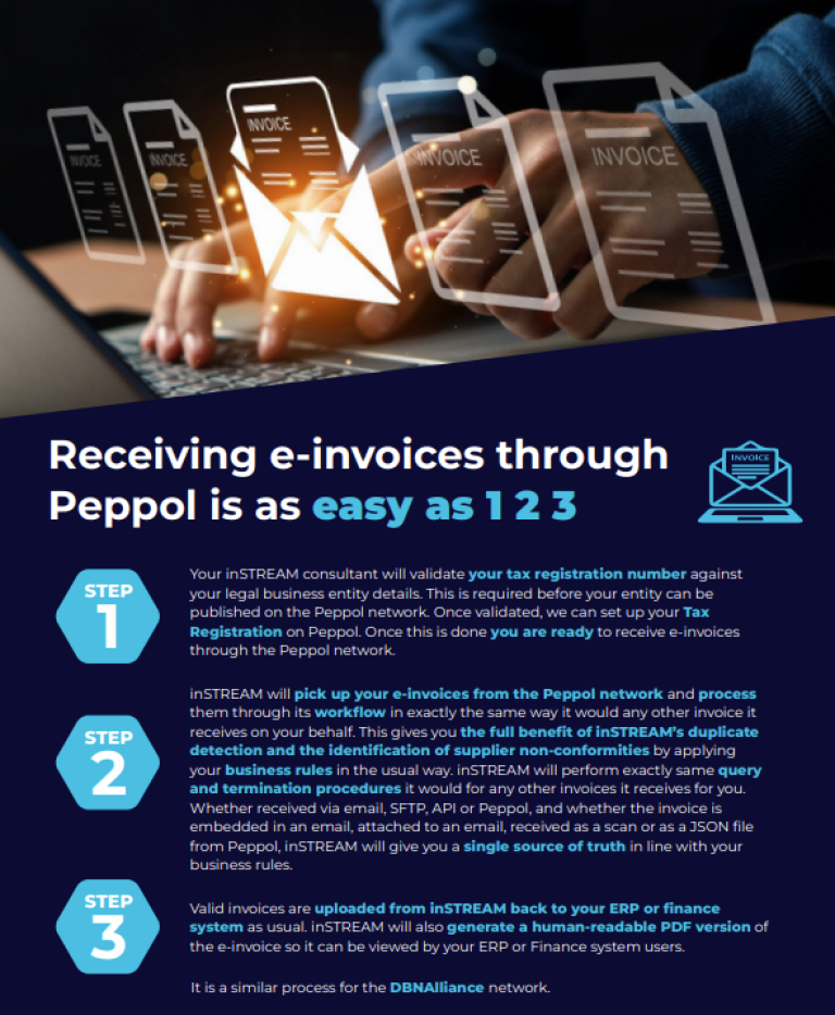 e-invoicing Peppol Guide image